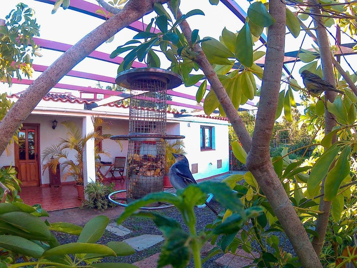 Vila La Casa De La Cartita Puntagorda Exteriér fotografie